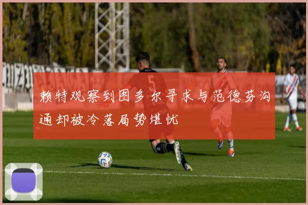 赖特观察到图多尔寻求与范德芬沟通却被冷落局势堪忧